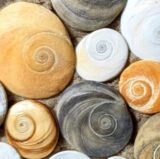 Kim Rackham – Children's Author